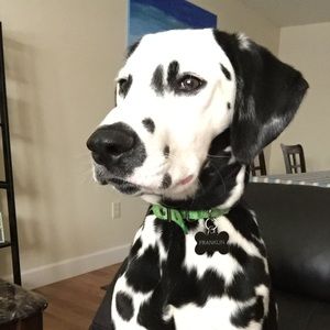 Meet your Posher, Laurie